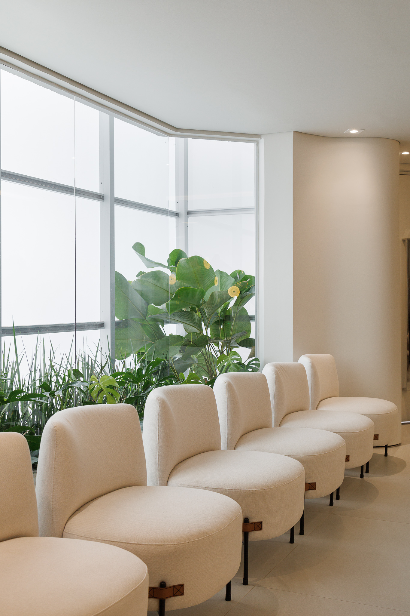 IPAT - Instituto de Patologia