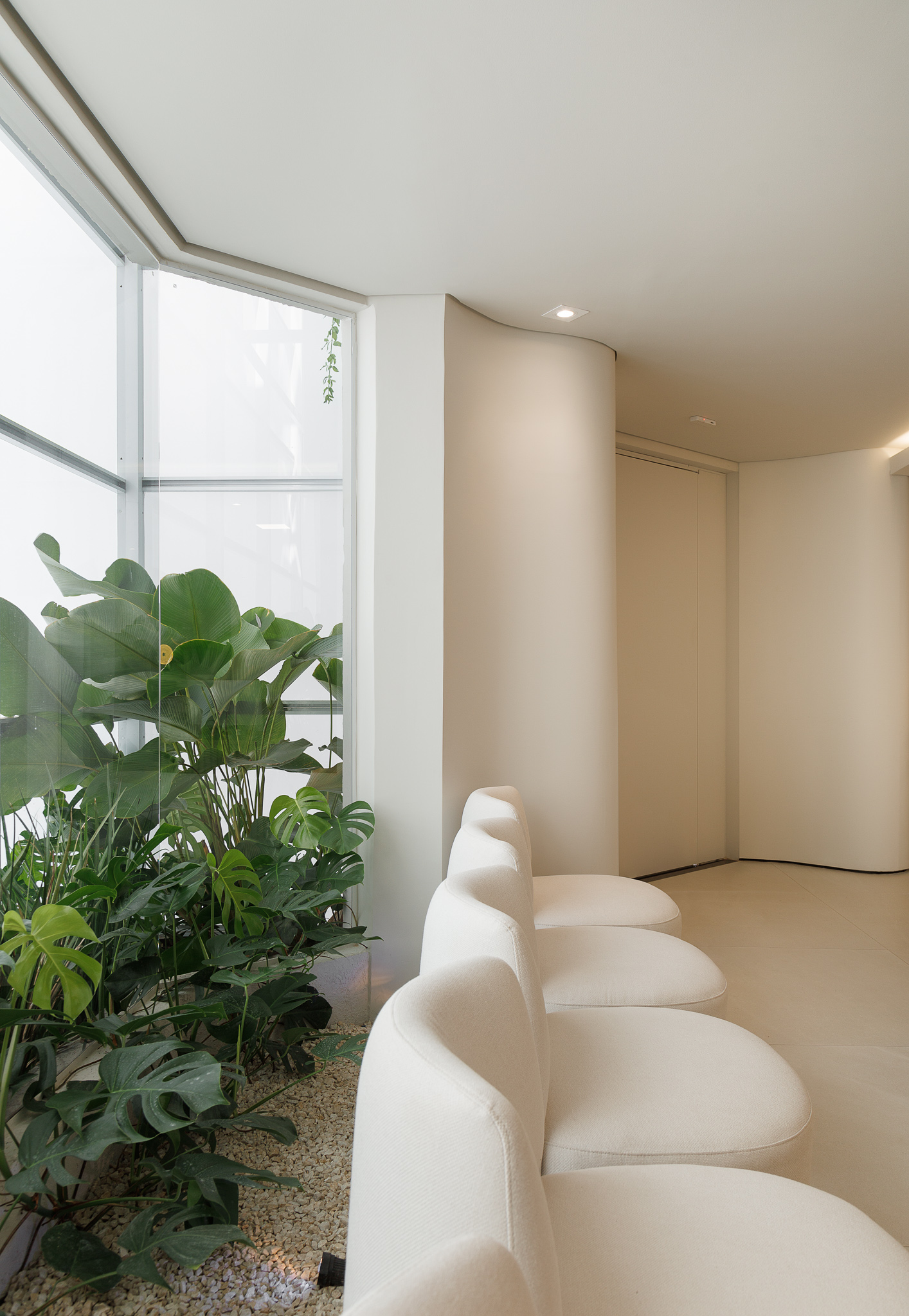 IPAT - Instituto de Patologia